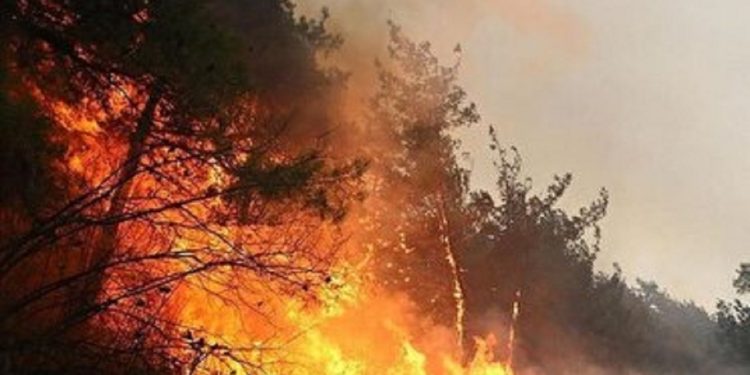 رایزنی با روسیه و ترکیه برای مهار آتش الیت