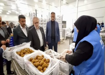 رفع موانع بانکی پایانه صادراتی روماک