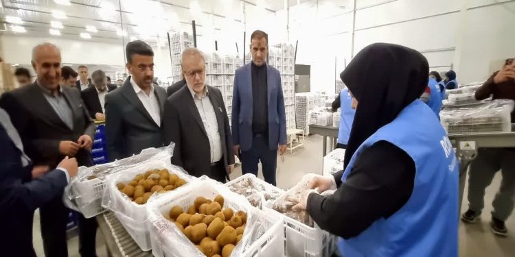 رفع موانع بانکی پایانه صادراتی روماک