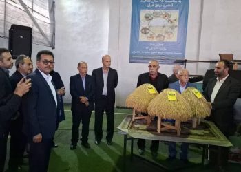 رونمایی از سه بذر جدید برنج در آمل