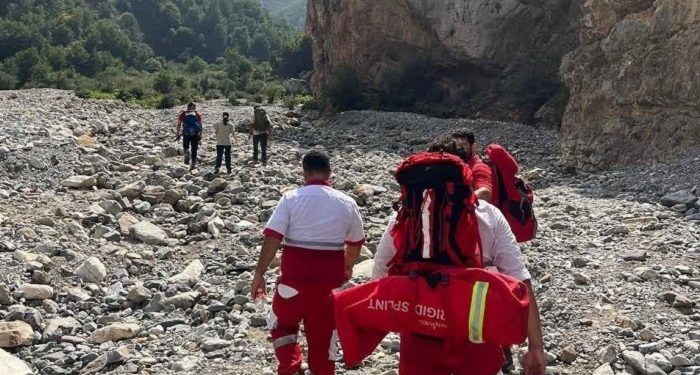 سقوط پاراگلایدر در منطقه جنگلی نور