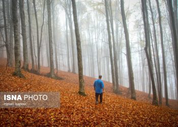 سوادکوه؛ مقصدی برای تماشای زودترین پاییز شمال