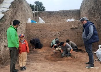 شکفتن دانه برنج ۳۰۰۰ ساله از کاوش لایه‌نگاری محوطه باستانی قلعه‌کِش آمل