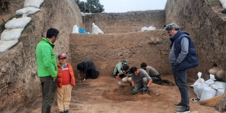 شکفتن دانه برنج ۳۰۰۰ ساله از کاوش لایه‌نگاری محوطه باستانی قلعه‌کِش آمل