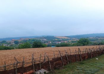 مازندران کماکان بدون بارش