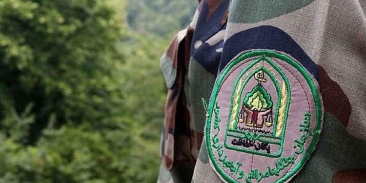 ورود به جنگل‌های سوادکوه ممنوع شد