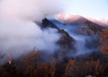 پایان نبرد با آتش در کارمزد/ آغاز هشدار برای جنگلی که تا لبه پرتگاه رفت