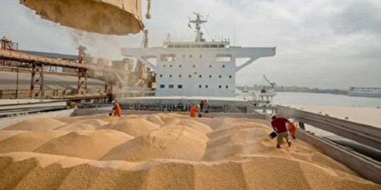 پهلوگیری روزانه پنج فروند کشتی نهاده دامی در بندر امیرآباد