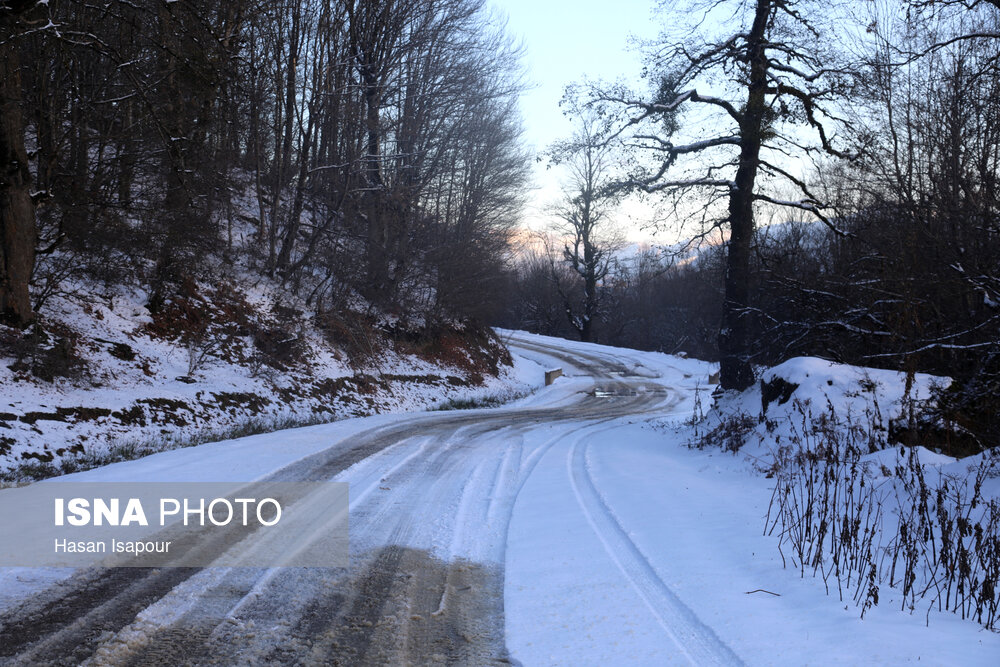چشم روشنی مازندران با بارش برف پاییزی/ ۲۰ روستای بخش لاریجان آمل سفیدپوش شد