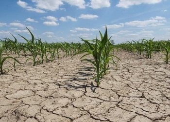 کاهش بارش‌ها در مازندران