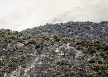 کاهش دود در آسمان الیت محسوس است/ مهار آتش‌ با قدرت ادامه دارد