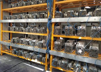 کشف مزرعه ماینر در مازندران