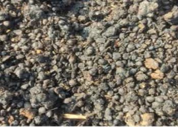 کشف و ضبط ۴۰ تن خوراک دام فاسد در یک واحد مرغداری بابل