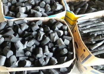 کشف ۲ تن زغال از کوره‌های غیر مجاز در جنگل‌های نکا