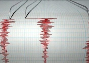 گزنگ لرزید - ایسنا