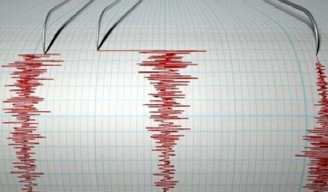 گزنگ لرزید - ایسنا