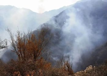 ۸ بالگرد و هواپیماهای ایلوشن مشغول اطفای حریق الیت هستند