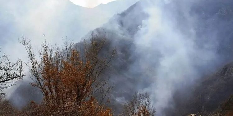 ۸ بالگرد و هواپیماهای ایلوشن مشغول اطفای حریق الیت هستند