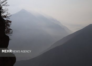 فخاری: فرد مصدوم و گمشده در جنگل دودانگه نجات یافت