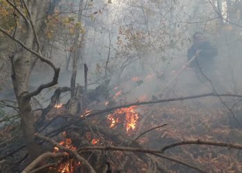 گزارش تصویری آتش سوزی جنگل باباکلا چهاردانگه/ مردم کمک!