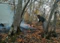 گزارش تصویری آتش سوزی جنگل باباکلا چهاردانگه/ مردم کمک!
