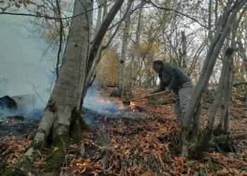 گزارش تصویری آتش سوزی جنگل باباکلا چهاردانگه/ مردم کمک!