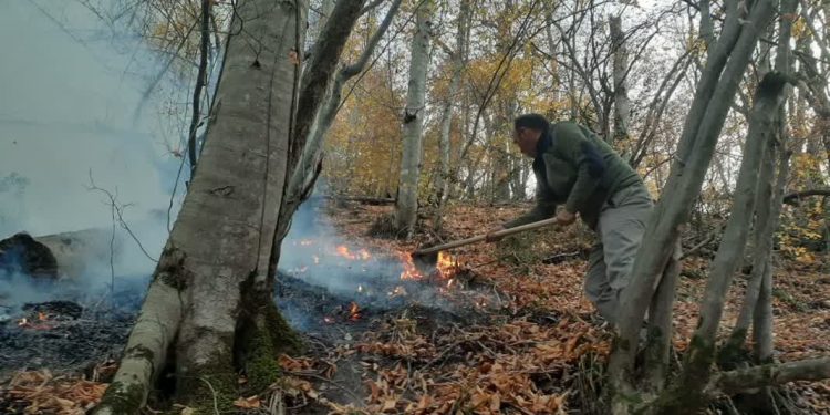 گزارش تصویری آتش سوزی جنگل باباکلا چهاردانگه/ مردم کمک!