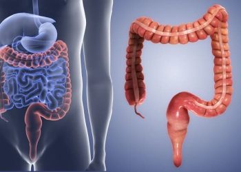 افزایش انسداد گوارشی ناشی از مصرف بی‌رویه «انار» و «خرمالو» در کودکان