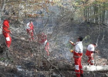 اقدام به موقع نجاتگران هلال احمر ساری در اطفای حریق جنگل‌های چورت