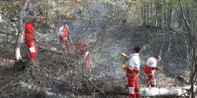 اقدام به موقع نجاتگران هلال احمر ساری در اطفای حریق جنگل‌های چورت