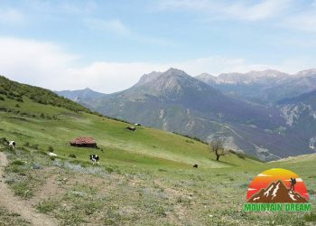 اقدام قاطع منابع طبیعی سوادکوه علیه تصرف اراضی ملی در مرتع اونسیه