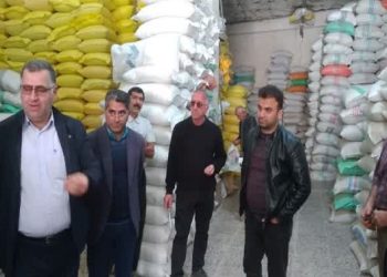 الزام ثبت برنج در سامانه انبار‌ها؛ عدم ثبت به‌ عنوان عرضه خارج از شبکه تلقی می‌شود
