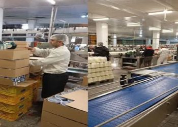 برخورد قاطع با متخلفان بازار لبنیات