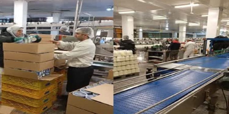 برخورد قاطع با متخلفان بازار لبنیات