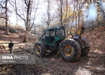 جلوی گسترش آتش در سوادکوه گرفته شد