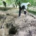 دستگیری حفاران غیرمجاز در منطقه سورت ساری
