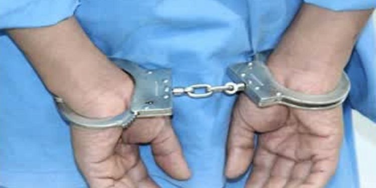 دستگیری موبایل قاپ موتور سوار در قائمشهر