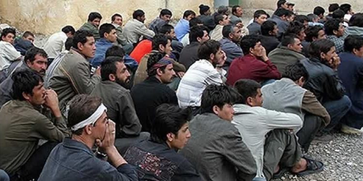 دستگیری و طرد اتباع غیرمجاز در شهرستان تنکابن