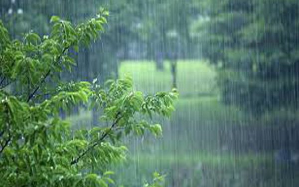 رئیس منابع طبیعی سوادکوه: بارش‌های اخیر برای حفظ جنگل‌های هیرکانی کافی نیست