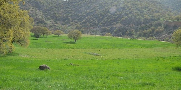 رفع تصرف یک هزار و ۵۰۰ مترمربع از اراضی ملی در شهرستان نور