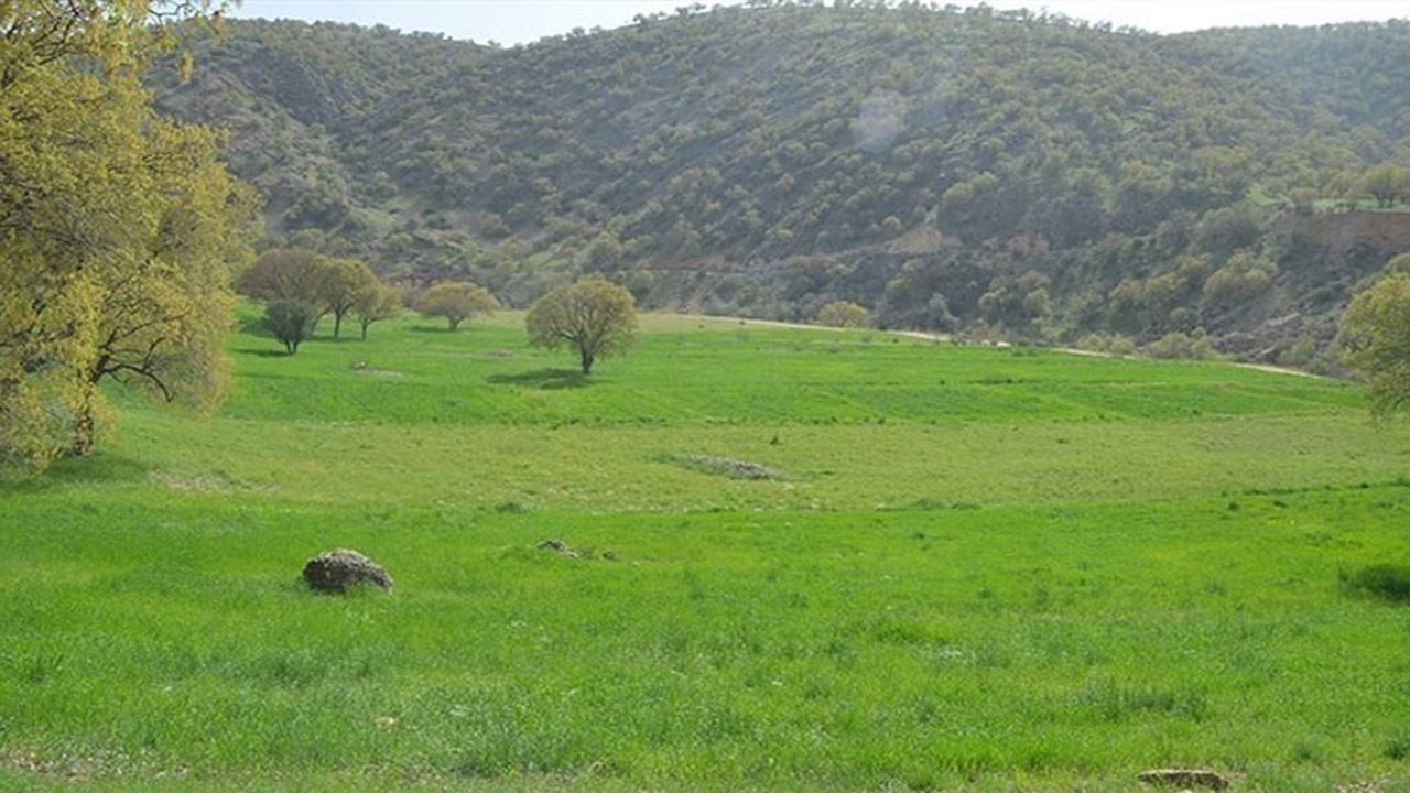 رفع تصرف یک هزار و ۵۰۰ مترمربع از اراضی ملی در شهرستان نور