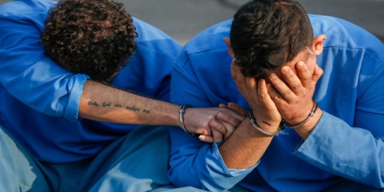 سه عضو دیگر از عوامل کانال «شکار مزدور» در مازندران دستگیر شدند
