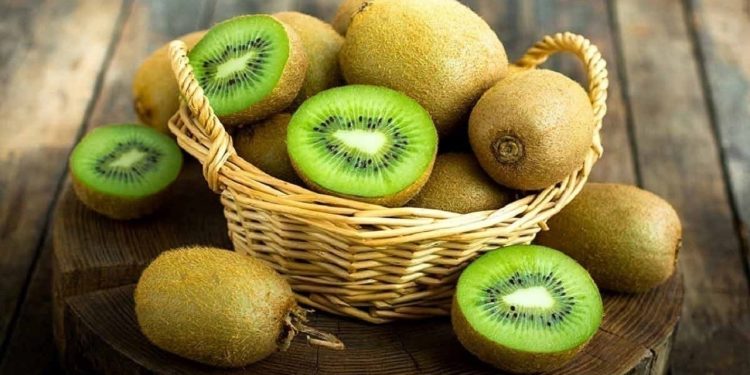 صادرات ۱۹۱۵ تن کیوی از بندر نوشهر