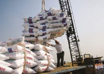 عرضه برنج تنظیم بازاری در مازندران؛ توزیع تا پایان دی‌ماه انجام می‌شود