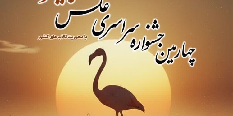 فلامینگوها در قاب هنر/ پوستر جشنواره‌ای برای حفاظت از میانکاله رونمایی شد