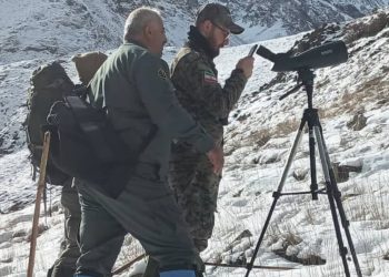 مدیرکل حفاظت محیط زیست: سرشماری حیات‌وحش در مازندران وارد فاز علمی شد