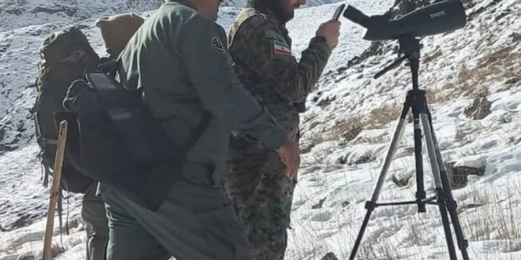 مدیرکل حفاظت محیط زیست: سرشماری حیات‌وحش در مازندران وارد فاز علمی شد