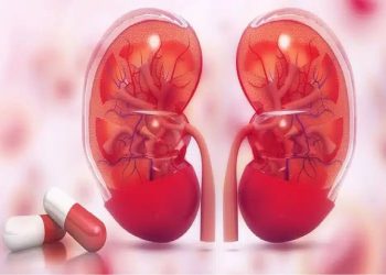 نفروپاتی دیابتی، عامل اصلی نارسایی کلیه/ کنترل قند و فشار خون کلید پیشگیری است