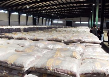 ورود بیش از ۱۰۰۰ تن برنج وارداتی برای تقویت امنیت غذایی مازندران