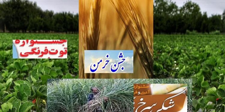 وقتی «جشنواره» به بازارچه بدل می‌شود